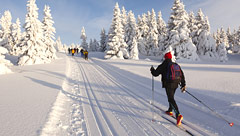 Wintersport in de Oostkantons
